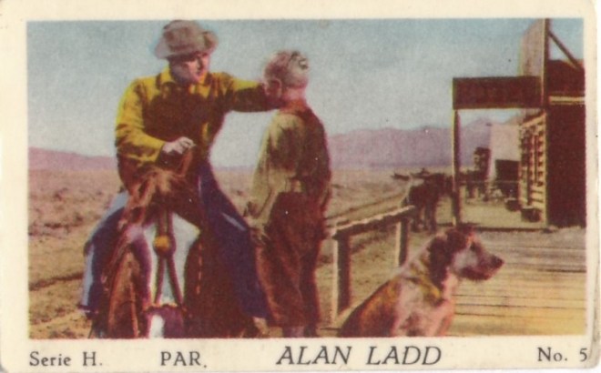 Alan a - kopia